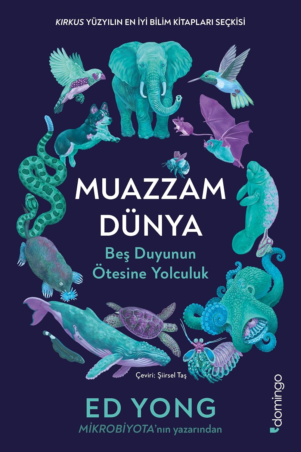 Muazzam Dünya: Beş Duyunun Ötesine Yolculuk